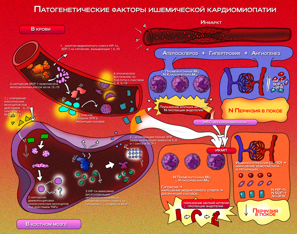 ЧУМАКОВА_СТАТЬЯ.png