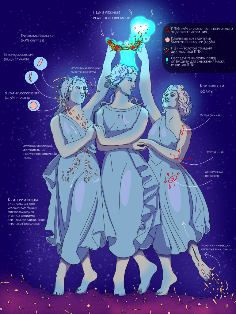ЛЯМЦЕВА_СТАТЬЯ.png
